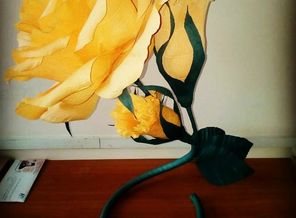 IMG_20180724_005125_555