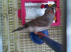 IMG_20150209_120124.jpg