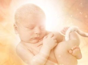 Screenshot_20190213-134259_Pregnancy +