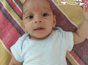 malyshi_image_15315472512