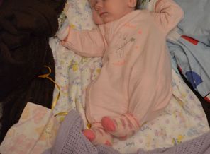 DSC_0167.JPG