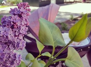 IMG_20180502_111401_728