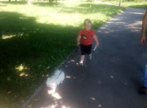 IMG_20180802_133951