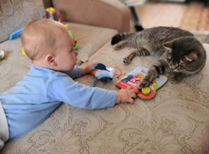 IMG_20181109_132015