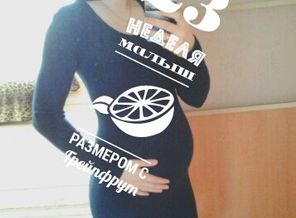 malyshi_image_15228899260