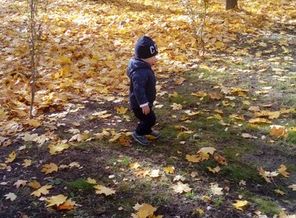 20181016_123507