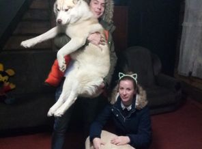 SShdmA2yUWQ