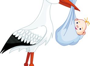 stork-clipart-transparent-14.png