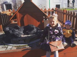 IMG_20170921_115807_752