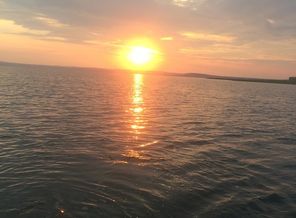 IMG_0599