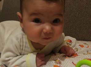 IMG-ac4ce868fbf8d2a9e17153e63bdff082-V