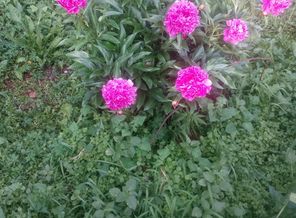 IMG_20180629_193903