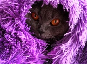 IMG_20181128_135416_396