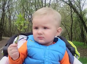 IMG_20180502_153031