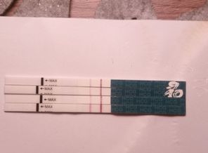 IMG_20181008_062312