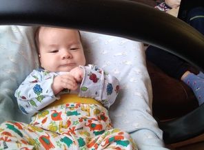 IMG_20190121_151331