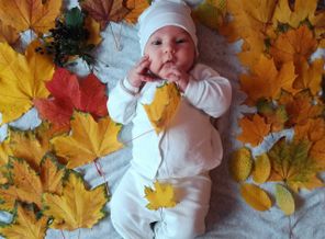IMG-03d767df0a6cc9cae654cb97ae08829a-V