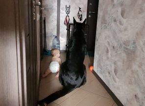IMG-20181026-WA0000