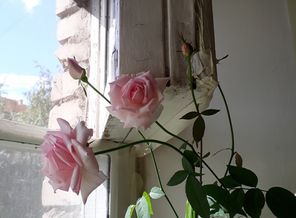 20160703_204311