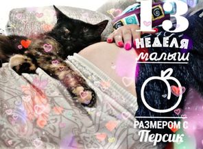 PicsArt_10-20-05.14.45
