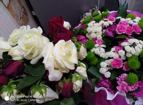 IMG_20181205_191445