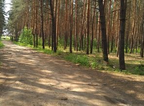 IMG_20180517_095650