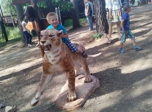 IMG_20170712_160749