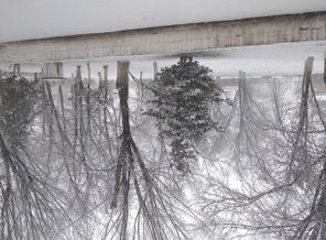 IMG_20190107_132837