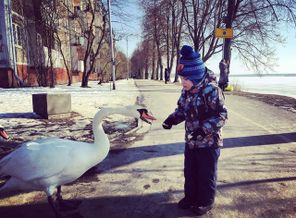 IMG-20180306-WA0028