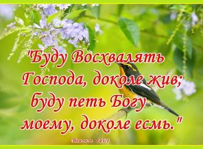 IMG-20181121-WA0006