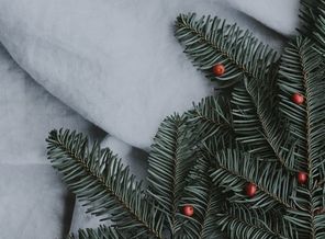 annie-spratt-1200526-unsplash