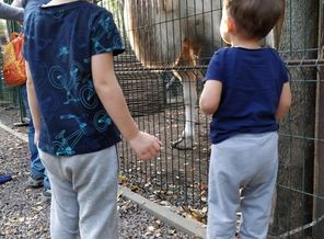 IMG-20180923-WA0012