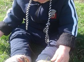 IMG-20181011-WA0007
