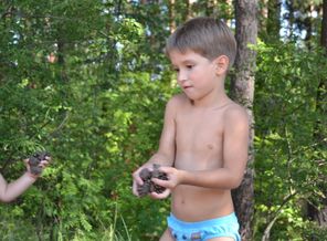 DSC_0471.JPG