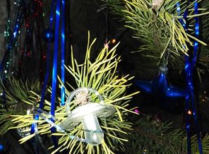 IMG_20181225_101759
