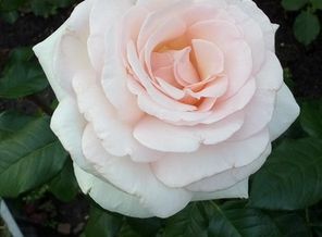 20160716_180745
