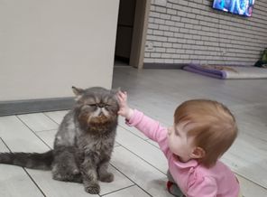 Настасья