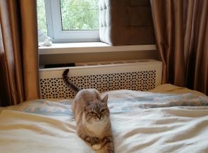 IMG_20180522_073341