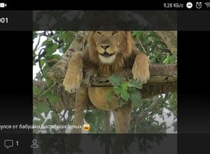 Screenshot_2018-10-07-20-49-37-338.jpeg