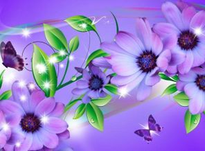 a-lavender_flower_rainbow-808997.jpg