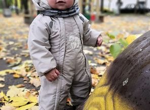 IMG_20181009_114438