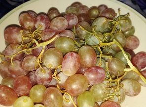 IMG_20181228_232237