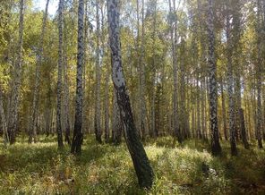IMG_20180916_122042