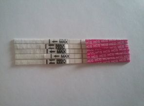 20181121_141959.jpg