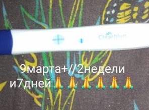 IMG_20190309_155245_121