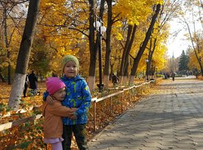 осень 2018