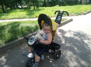 IMG_20180803_114544