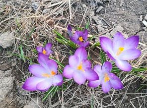 IMG-20180413-WA0008