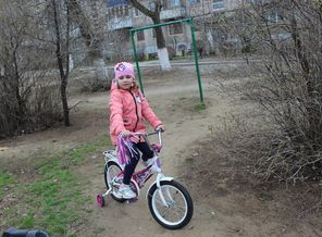 IMG_0305