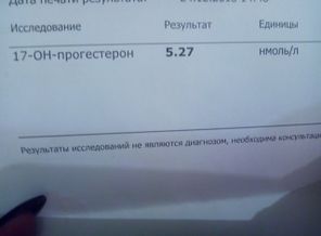 JPEG_1546191536829518216430